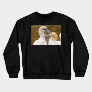 Gannet Pair 1 Crewneck Sweatshirt